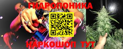 шишки Балахна