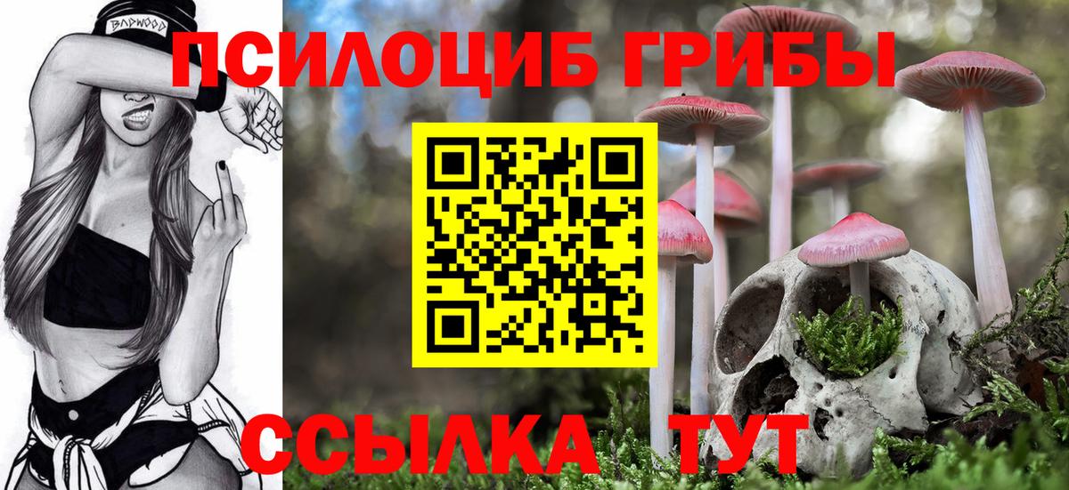 Галлюциногенные грибы мухоморы Надым