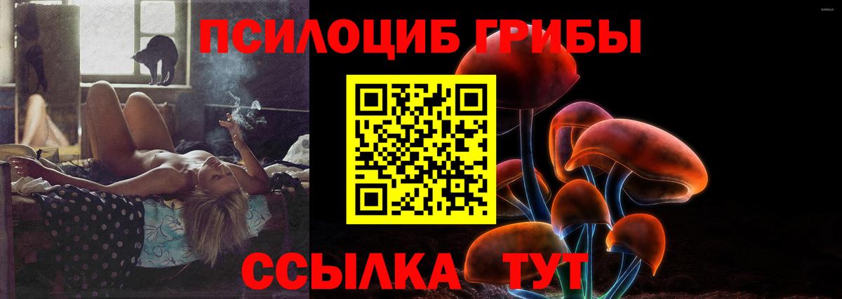 Галлюциногенные грибы MAGIC MUSHROOMS  даркнет сайт  Надым  Вход с VPN  Псилоцибиновые грибы MAGIC MUSHROOMS 